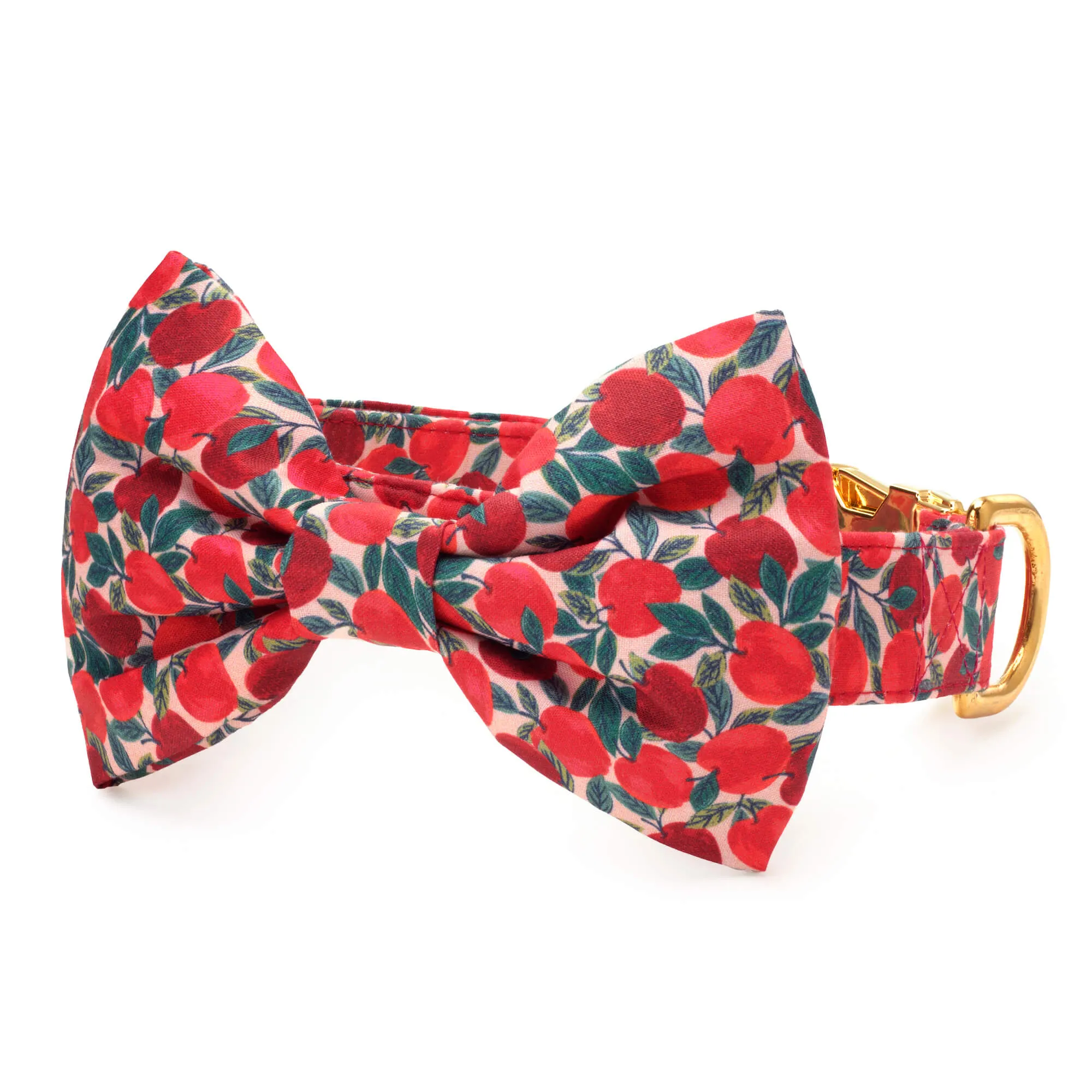 Apple of My Eye Bow Tie Collar