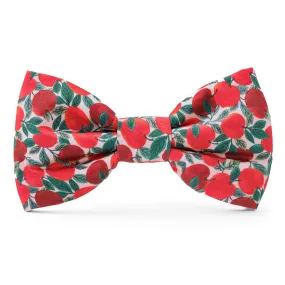 Apple of My Eye Dog Bow Tie