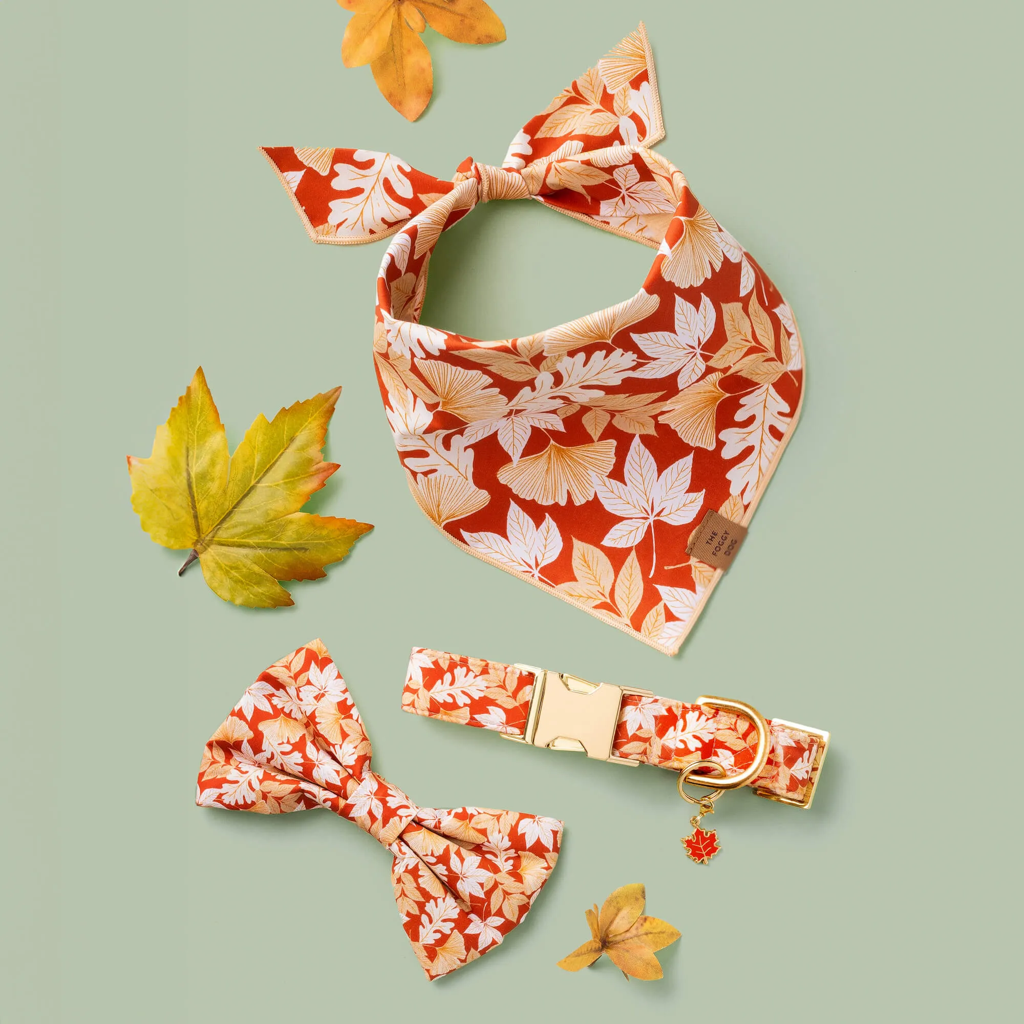 Autumn Leaves Rust Bow Tie Collar