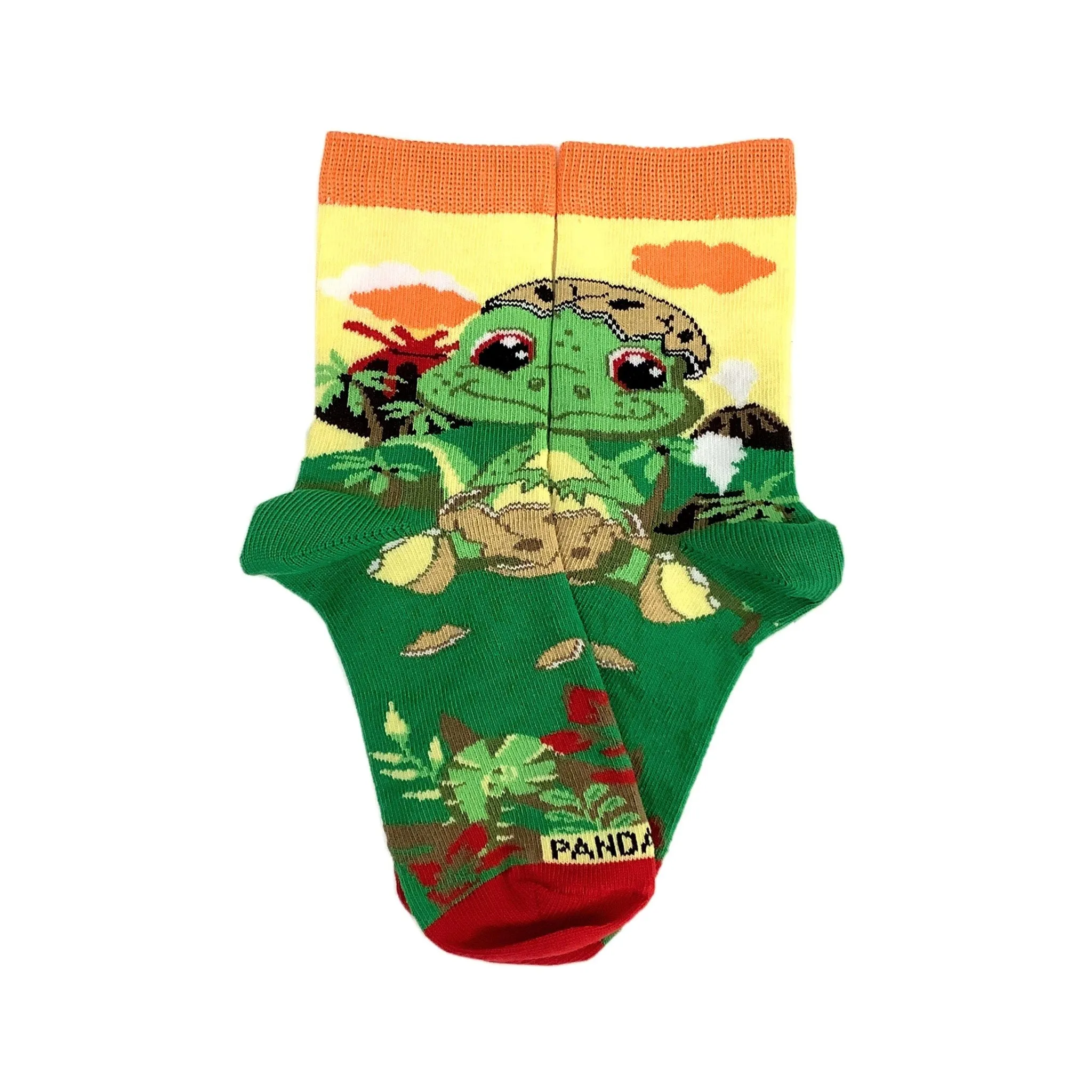 Baby Dinosaurs Socks (Set of Two) (Ages 3-7)