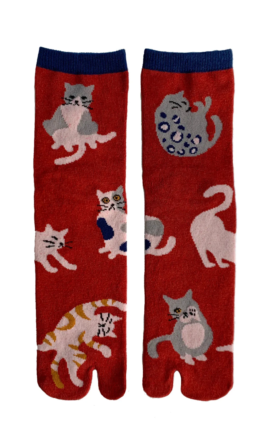 Cats Neko Tabi Socks