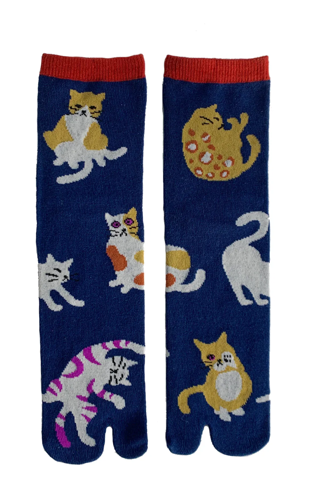 Cats Neko Tabi Socks