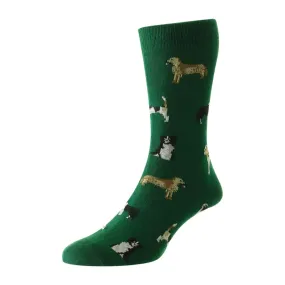 HJ Hall Dogs Motif Cotton Rich Socks