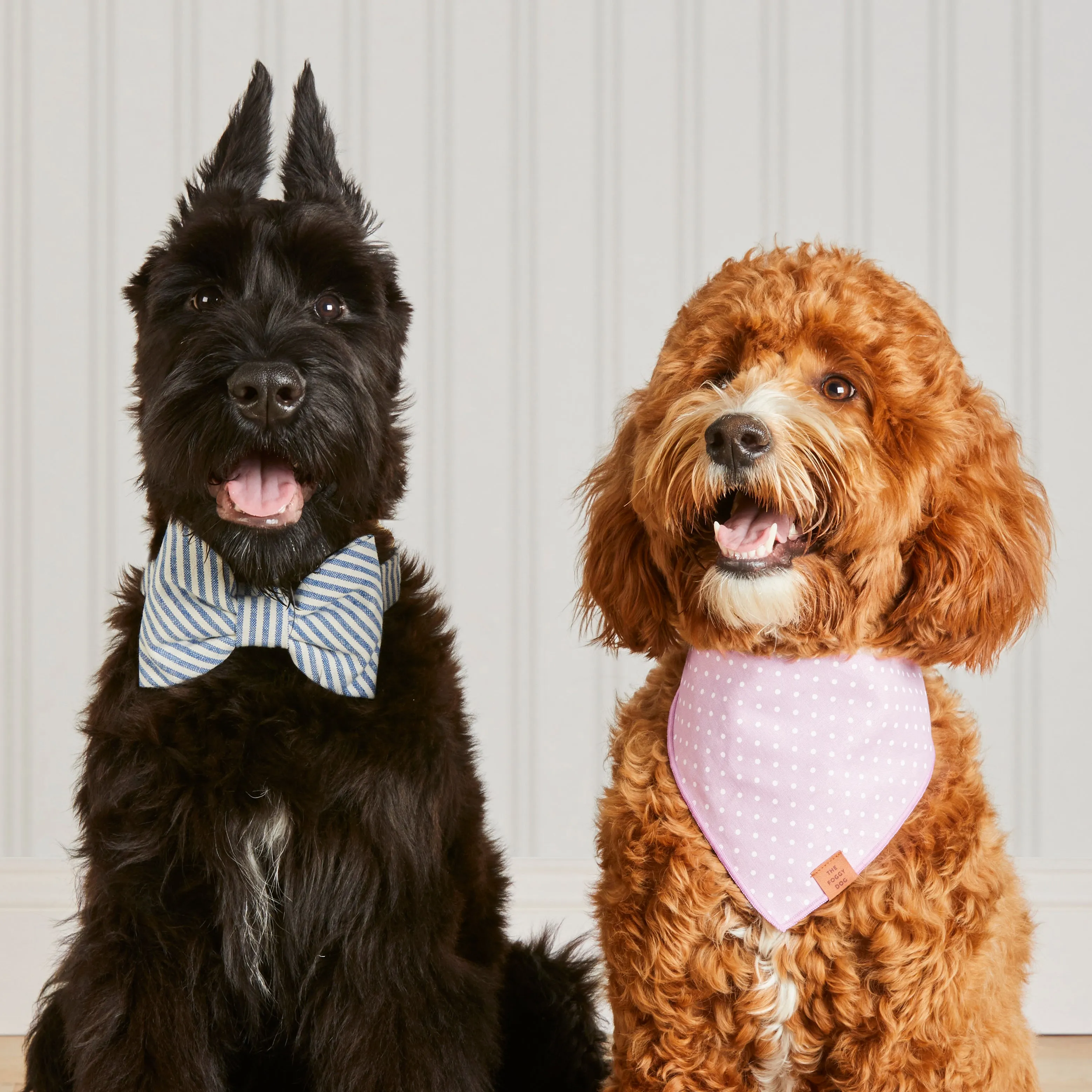 Lake Blue Stripe Dog Bow Tie