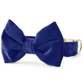 Navy Velvet Bow Tie Collar