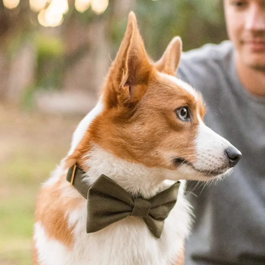 Olive Bow Tie Collar