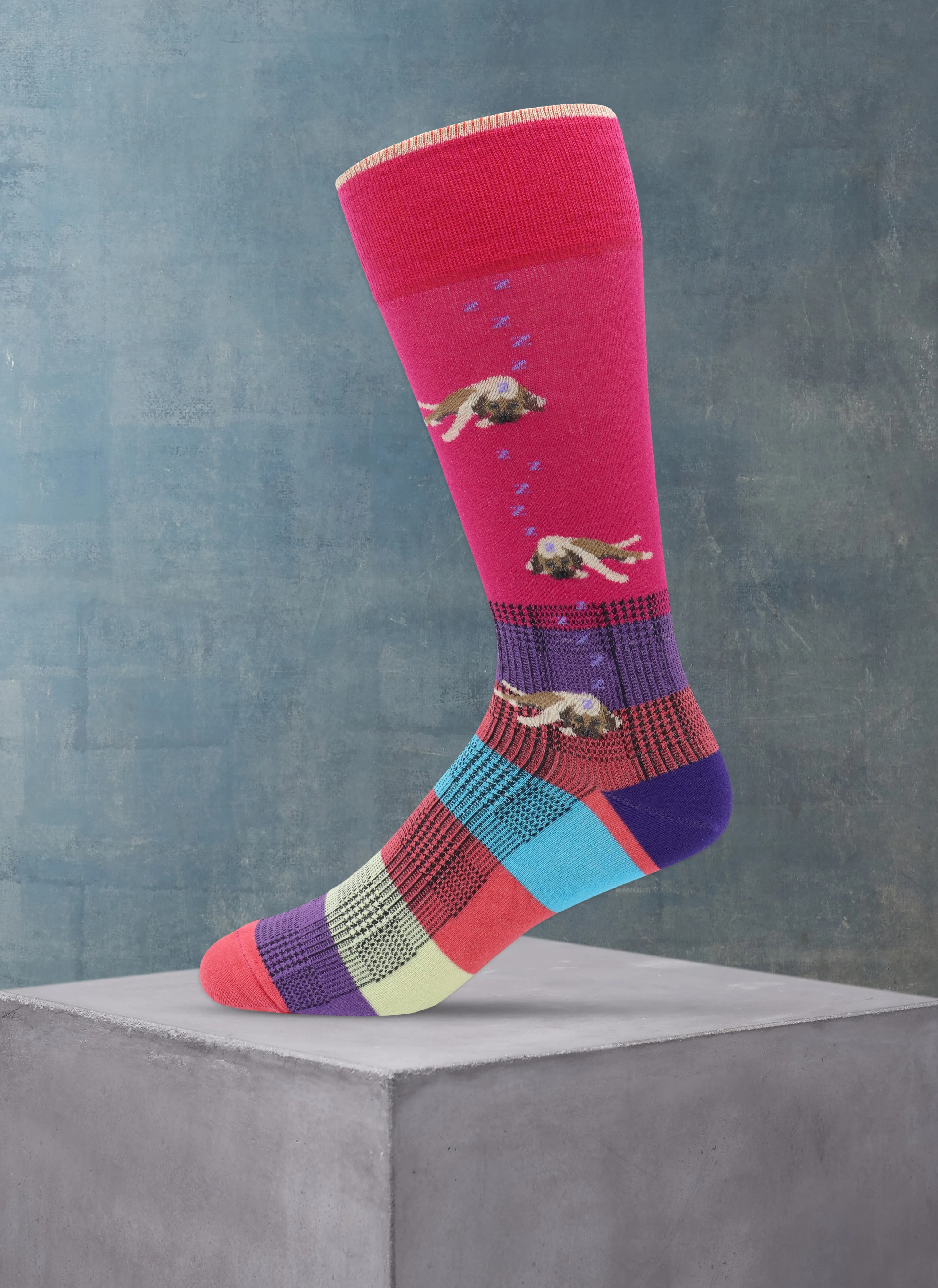 "Sleeping Dog Lie" Sock in Fuchsia