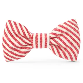 Red Stripe Dog Bow Tie